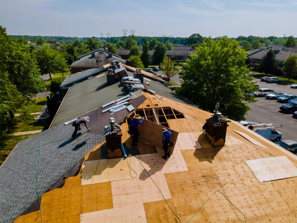 Roof Gutter Cleaning in Herndon, VA