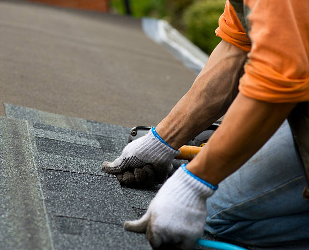 Best Local Roofing Companies  in Herndon, VA